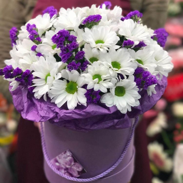 Полнолуние от 5 820 руб.