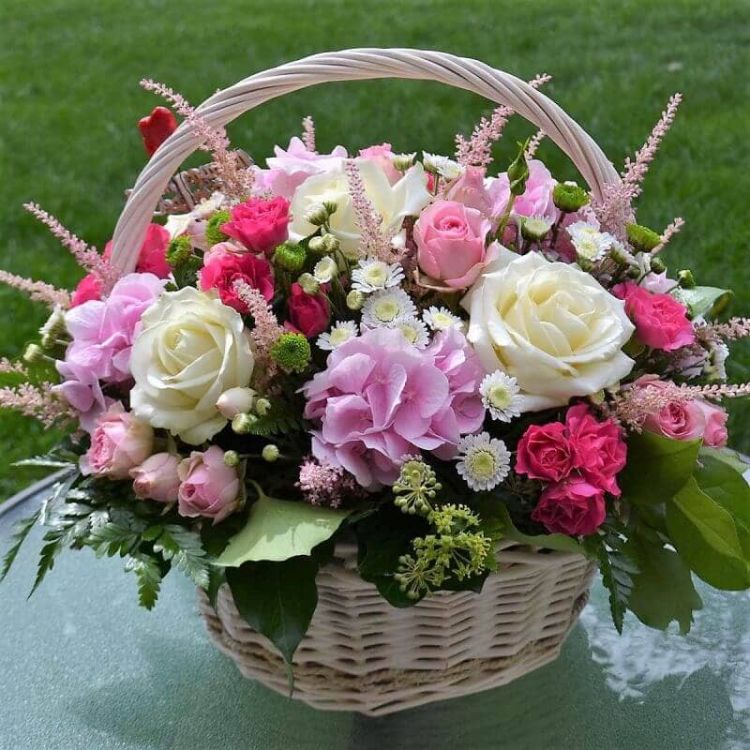 Высшее общество от 9 400 руб.