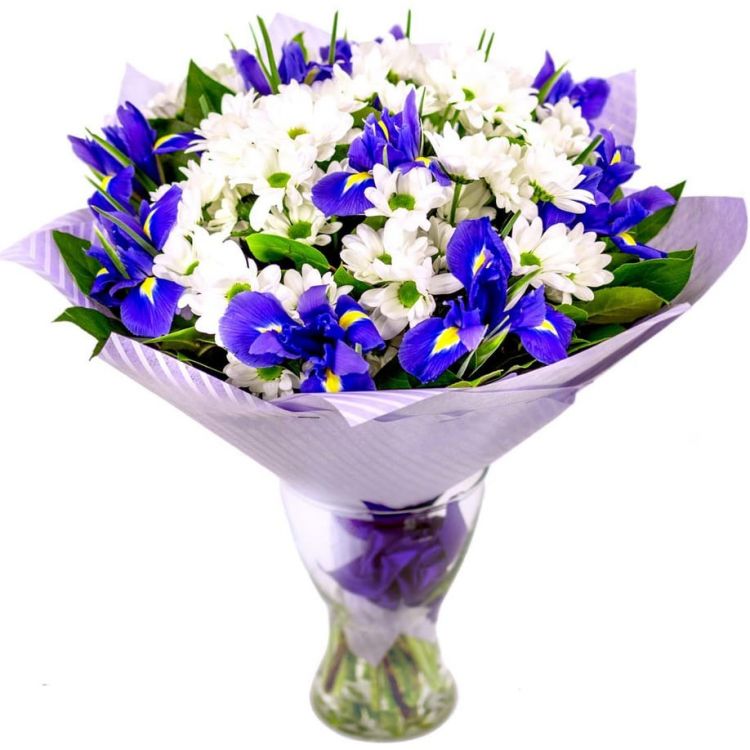 Голубая лагуна от 4 810 руб.