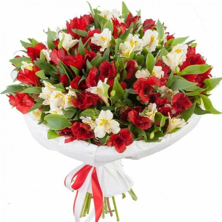 Вкус к жизни от 4 950 руб.