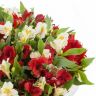 Вкус к жизни от 4 950 руб.