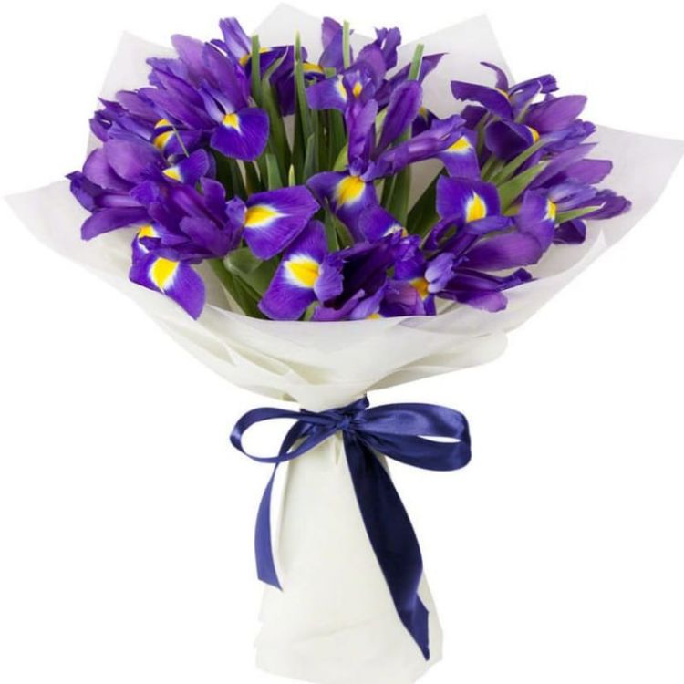 Бездна твоих глаз от 2 210 руб.